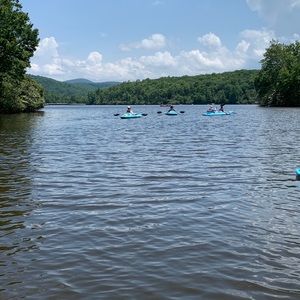 Meet your Posher, Savannah